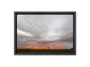 Kenya, Masai Mara, storm at sunset
