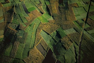 Paysage agricole, Guatemala