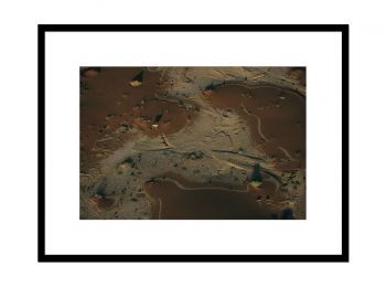 Oryx, Désert du Namib