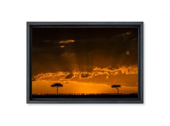 Kenya, wildebeest at sunset