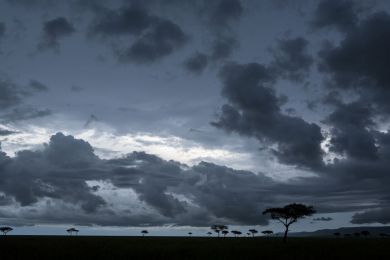 Kenya, saison des pluies