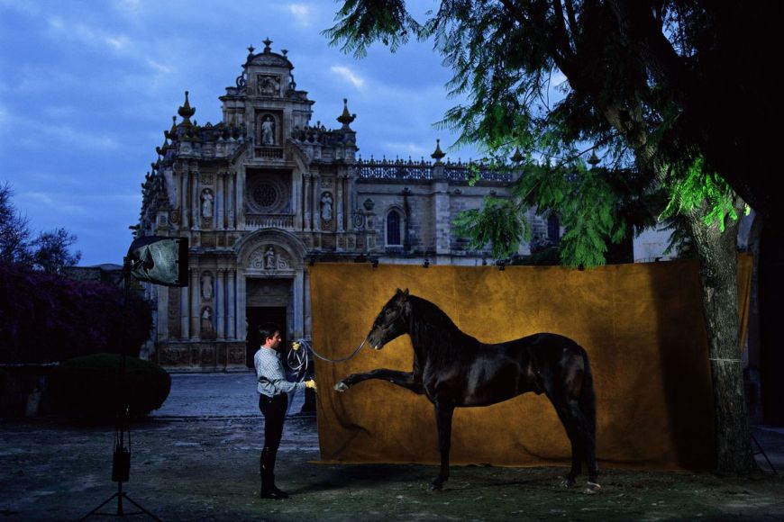 Andalusian horse (cartujanos)