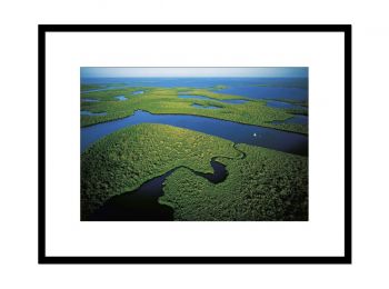 The Everglades, Florida, United States